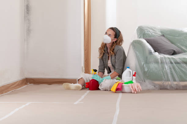 Reliable Mold Inspection contractor in Essex Fells, NJ by WQB Mold Removal